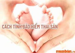 Cách Tính Trợ Cấp Bảo Hiểm Thai Sản