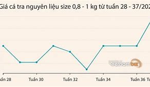 Giá Cá Tra Tháng 10/2022 Tại Việt Nam