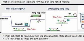 Hpv Type 11 Có Chữa Được Không