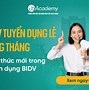 Tuyển Dụng Xử Lý Nợ Bidv